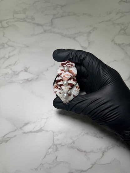 Brown Striped Conch Hair Pin