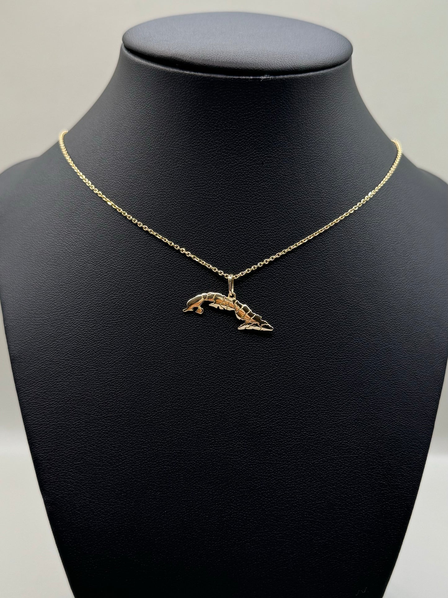 My Isla Necklace, 10K Gold