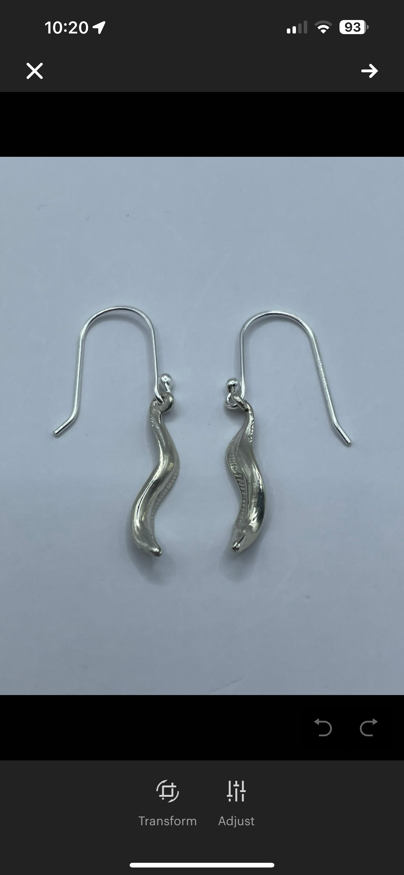 Moray Eel Earrings