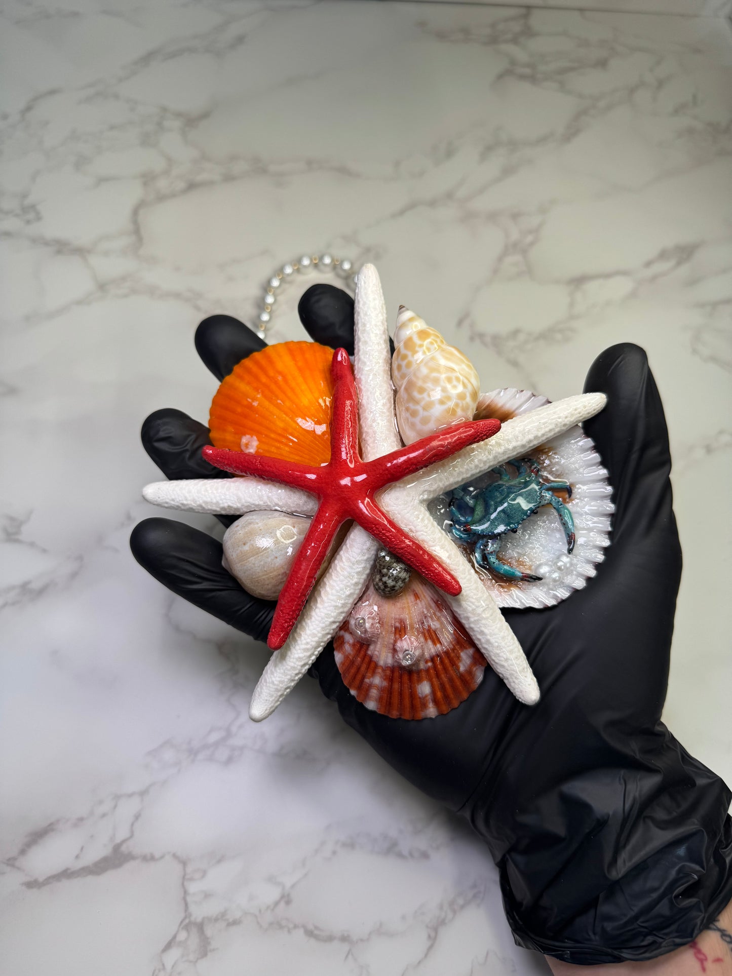 The Ocean Majesty – Treasures of the Tide