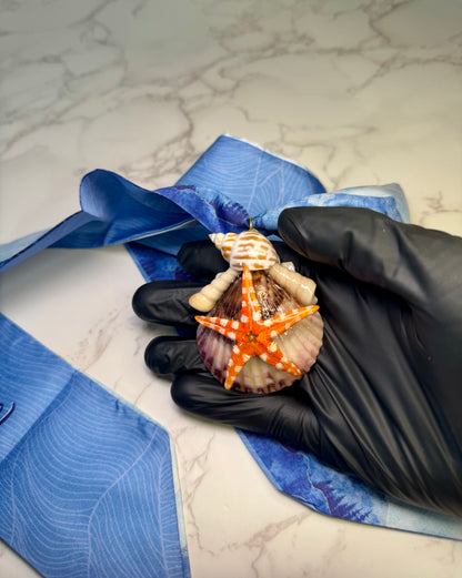 The Ocean Wanderer – Star of the Blue Tide