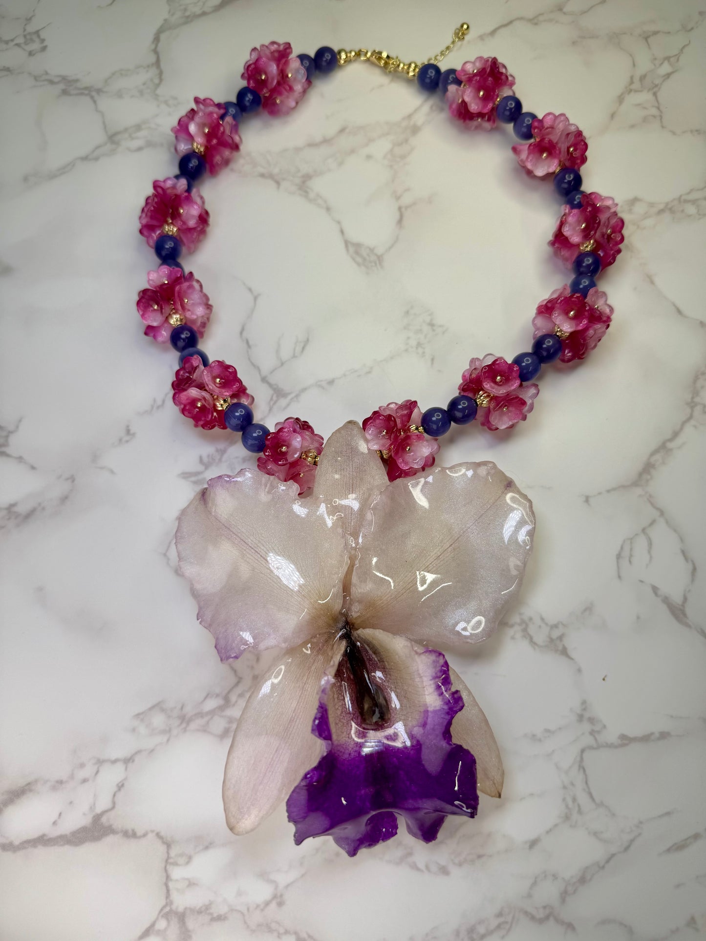 Blossom Pearl Cataleya Large white-and-purple Cataleya orchid flower