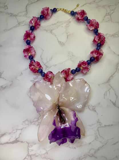 Blossom Pearl Cataleya Large white-and-purple Cataleya orchid flower