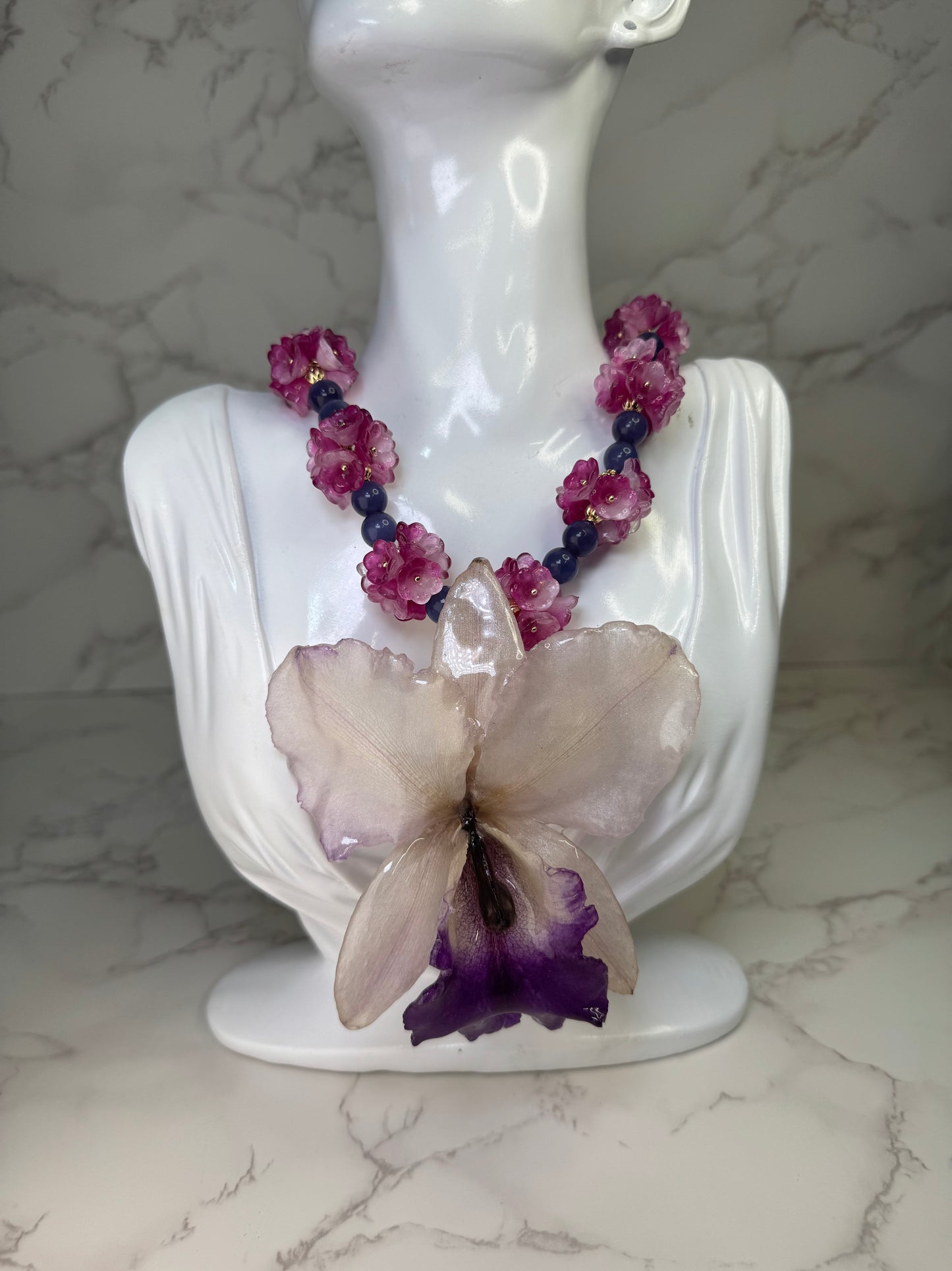 Blossom Pearl Cataleya Large white-and-purple Cataleya orchid flower