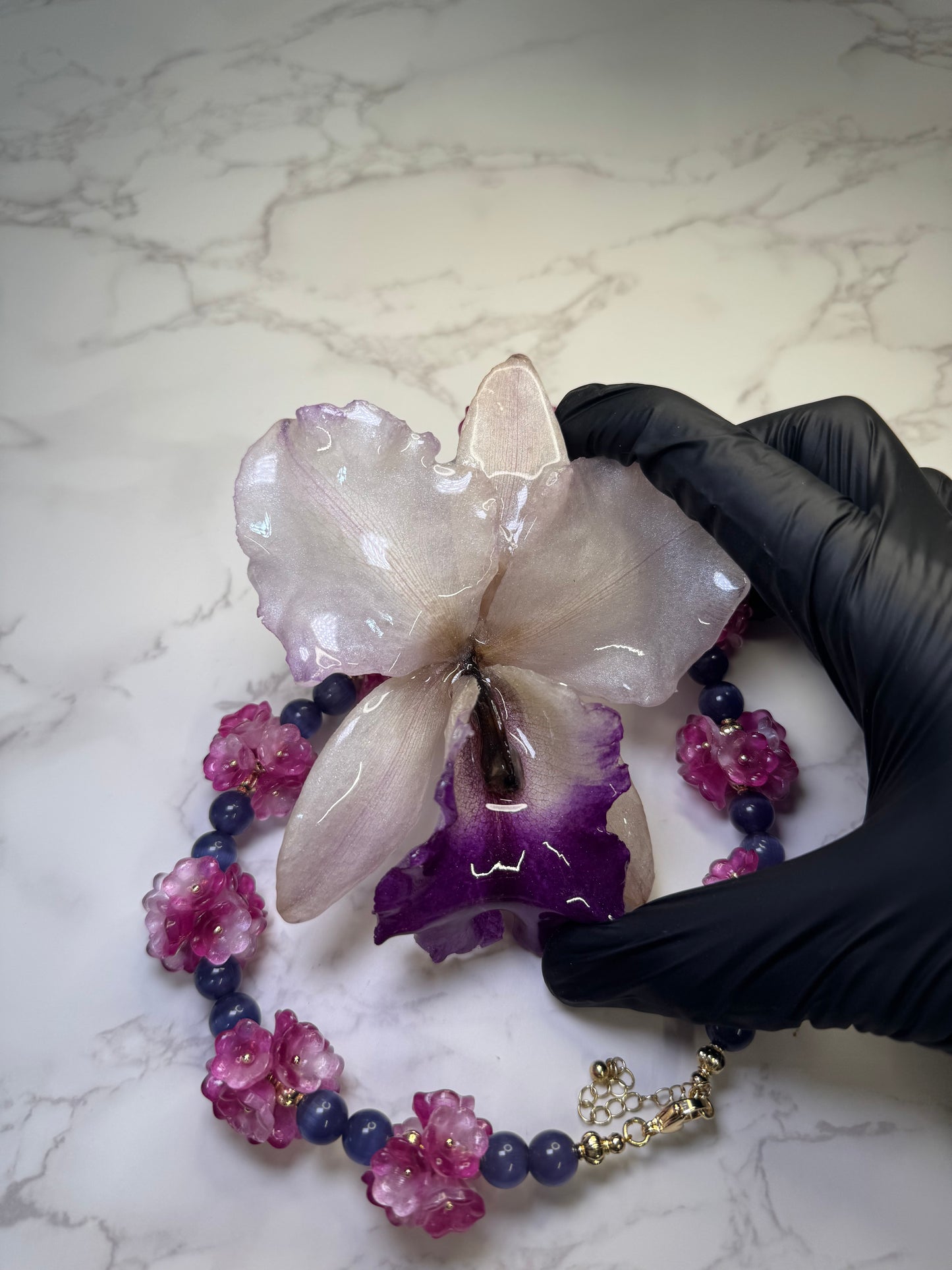 Blossom Pearl Cataleya Large white-and-purple Cataleya orchid flower