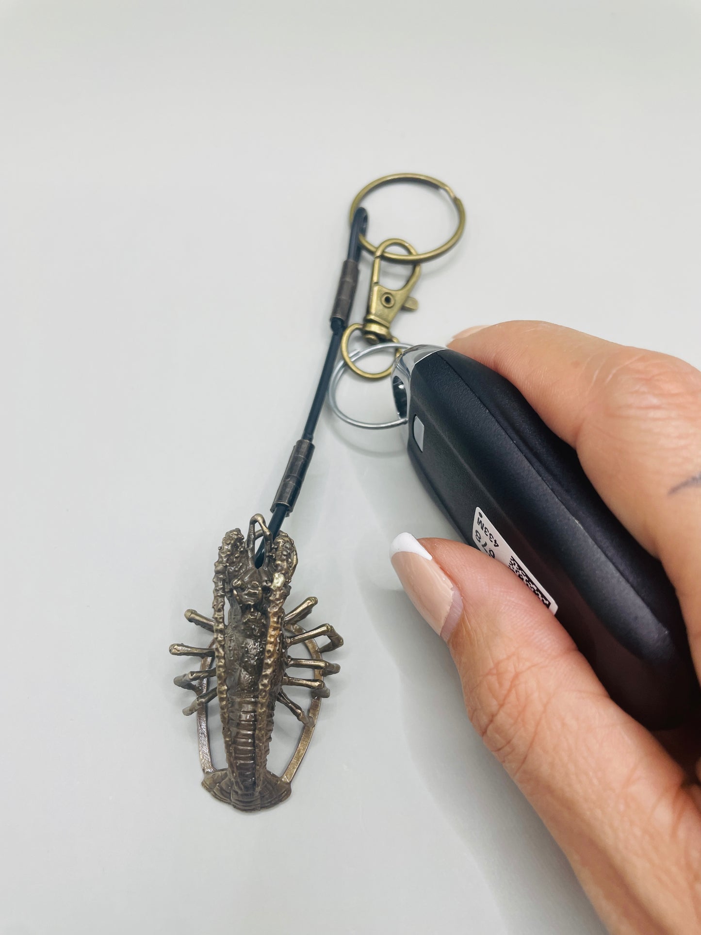 Lobster Keychain, Brass