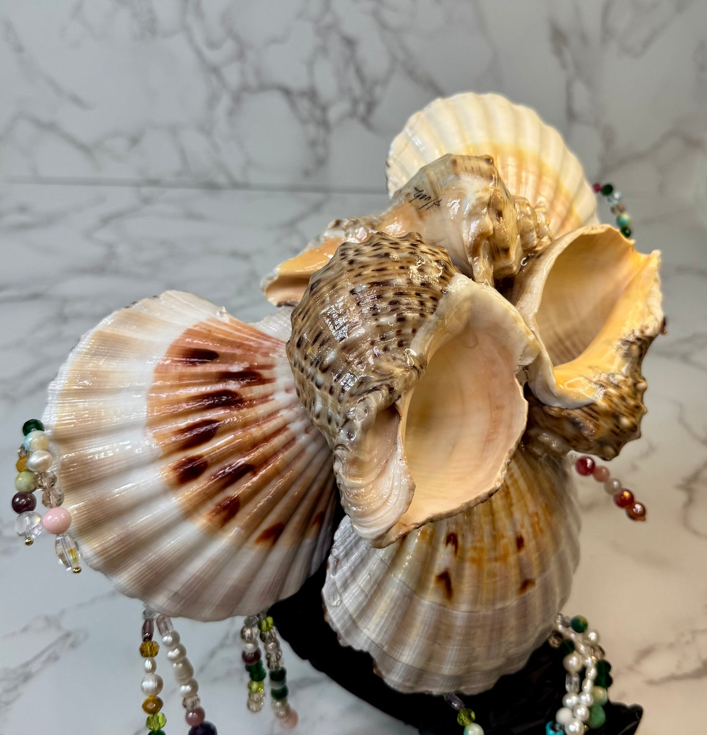 Natural Seashell Jewelry Box | Handmade Coastal Decor with Metal Pieces and Freshwater Pearls