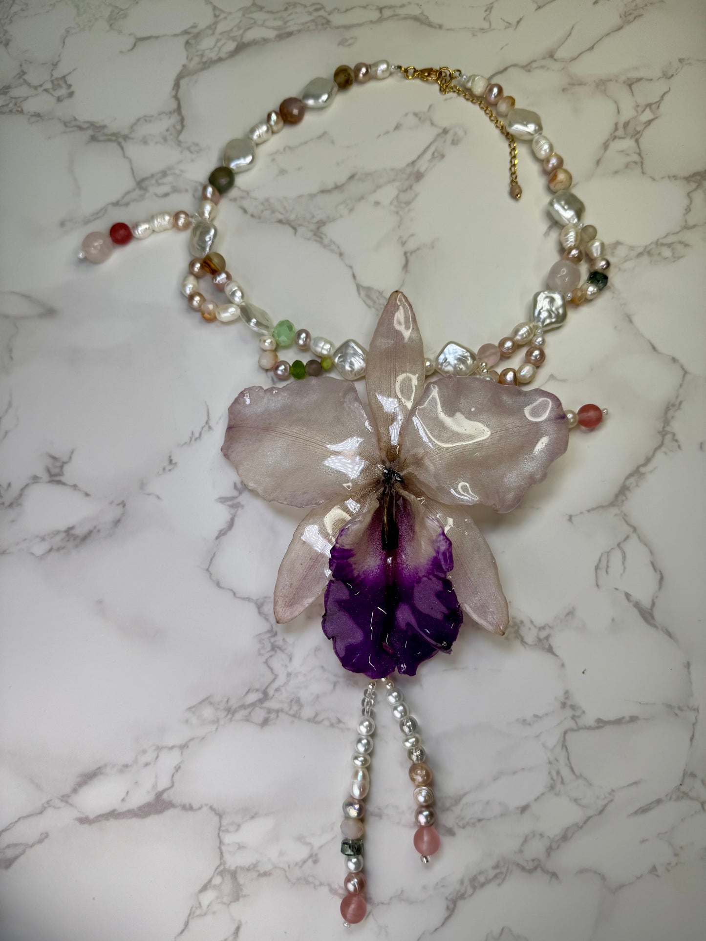 Celestial Cataleya Bloom  Large white-and-purple Cataleya orchid flower