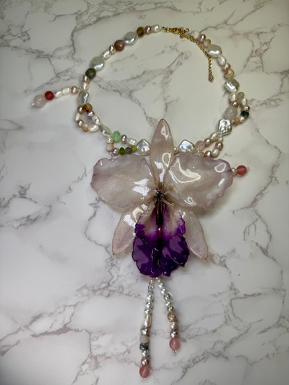 Celestial Cataleya Bloom  Large white-and-purple Cataleya orchid flower