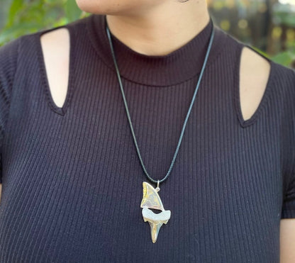 Shark Tooth & Fin Necklace, 3D Pendant - Lluch Jewelry